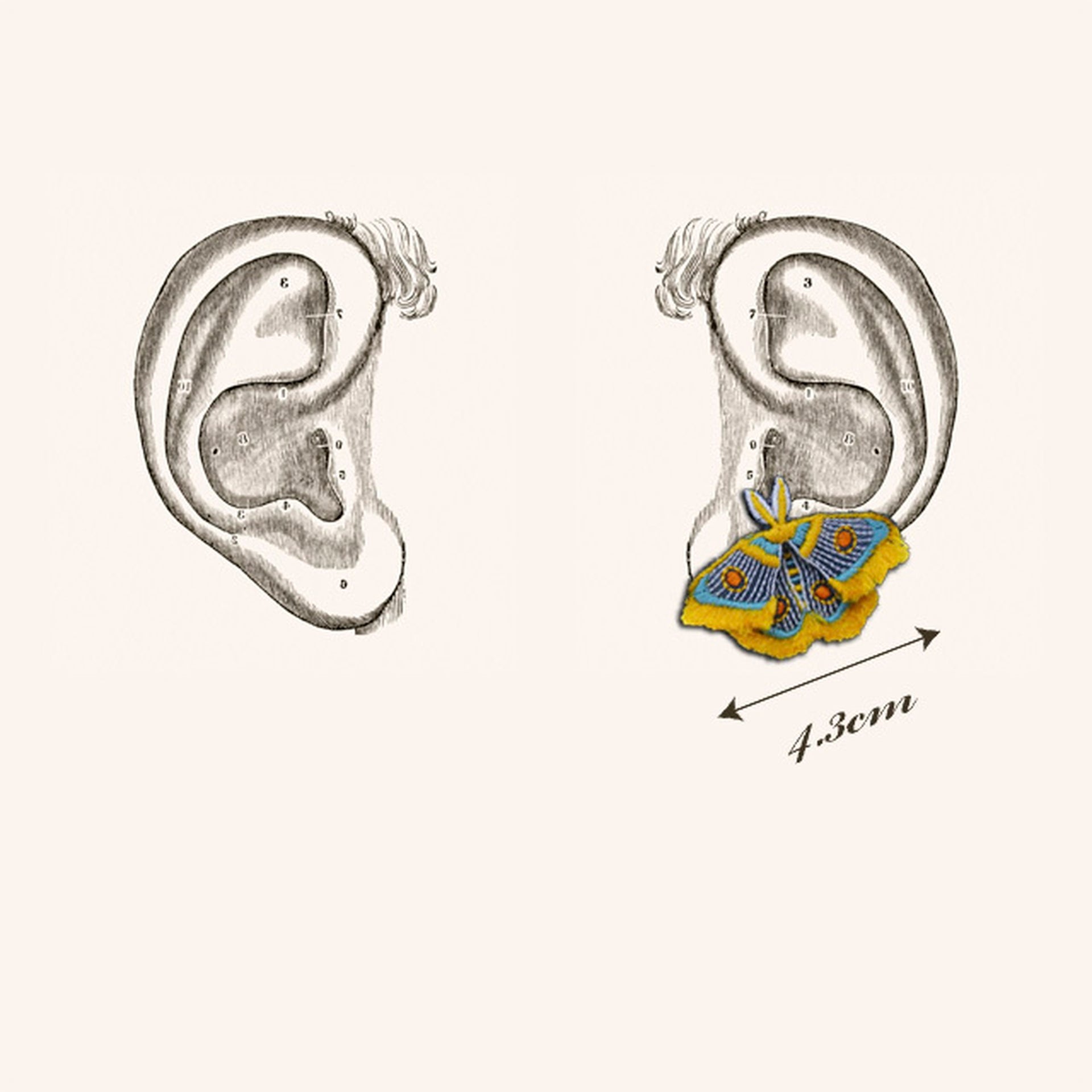 ARRO / MOTH / EARRING EAR-CLIP / YELLOW