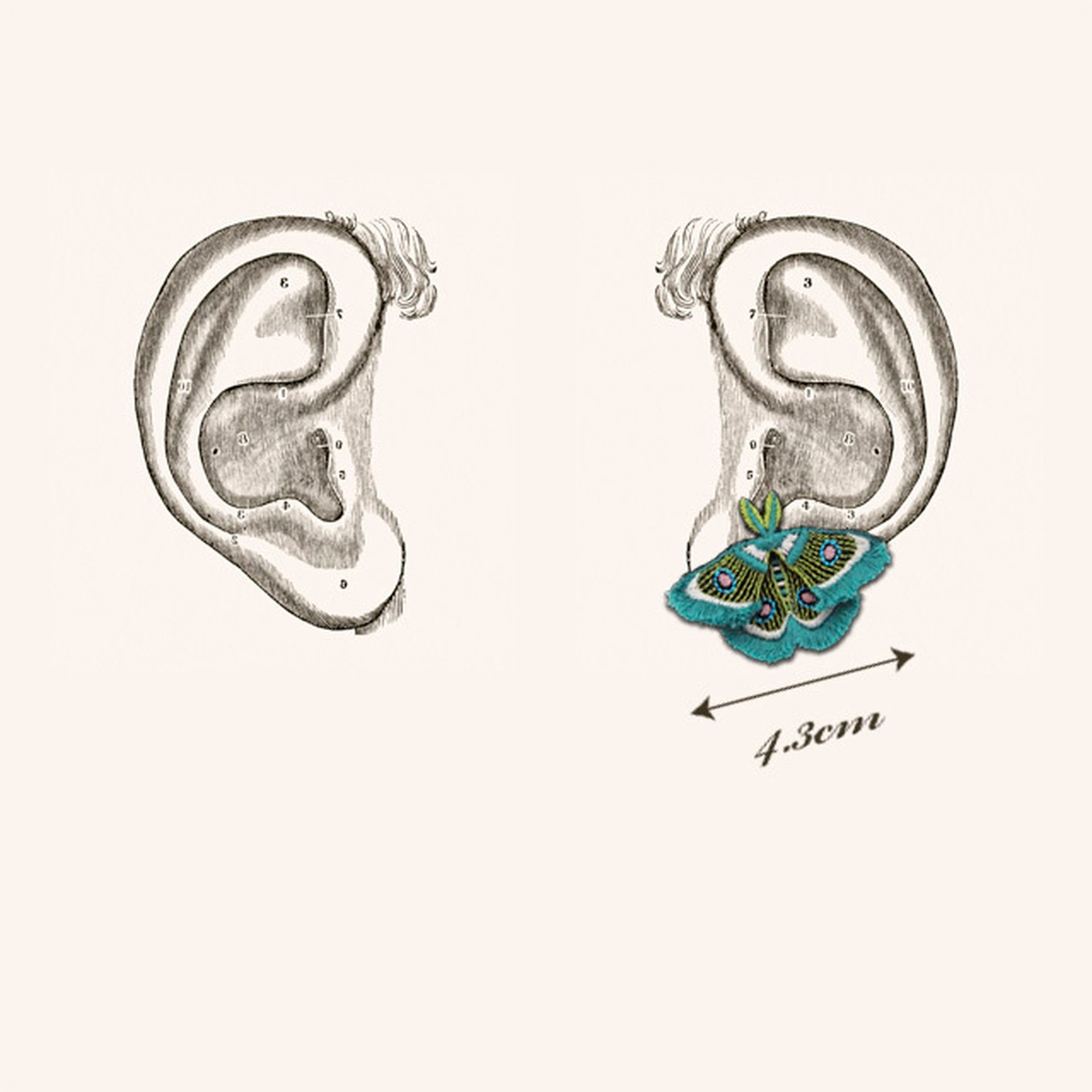 ARRO / MOTH / EARRING EAR-CLIP / GREEN