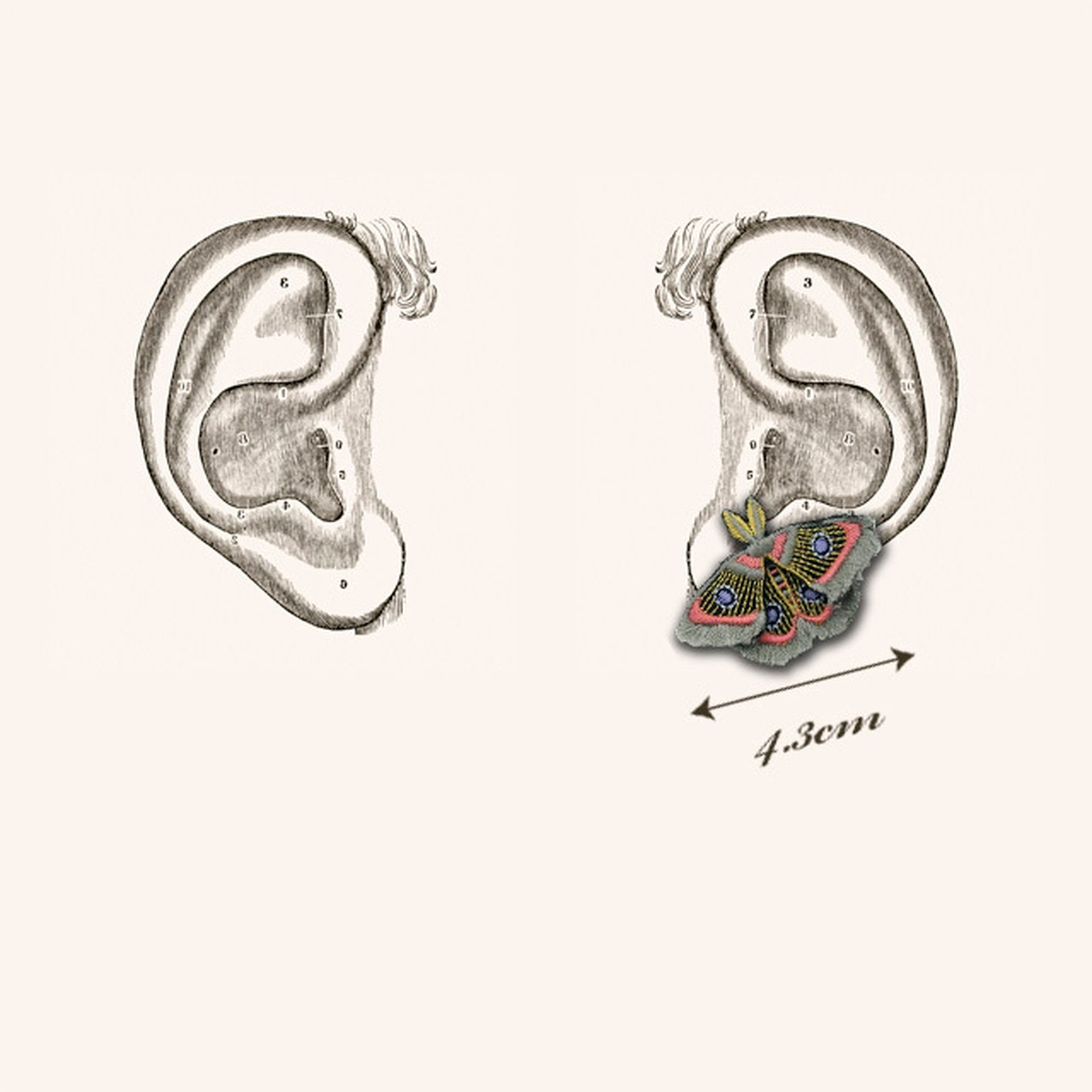 ARRO / MOTH / EARRING EAR-CLIP / GRAY
