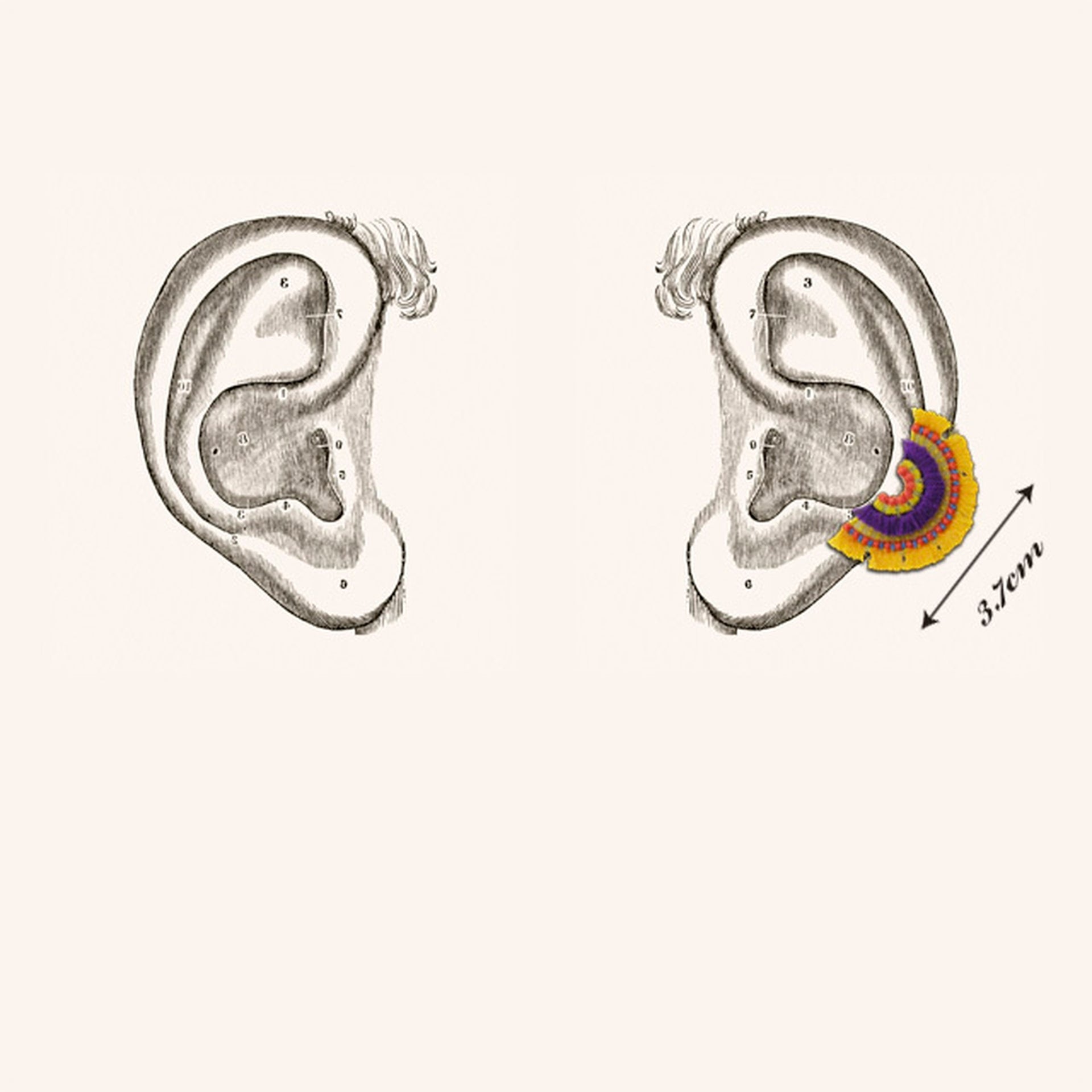 ARRO / BLOOM / 耳環耳夾 / 黃色
